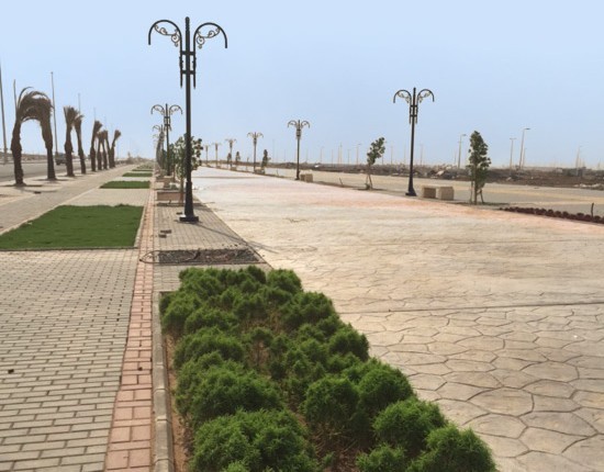 20200219070053 image